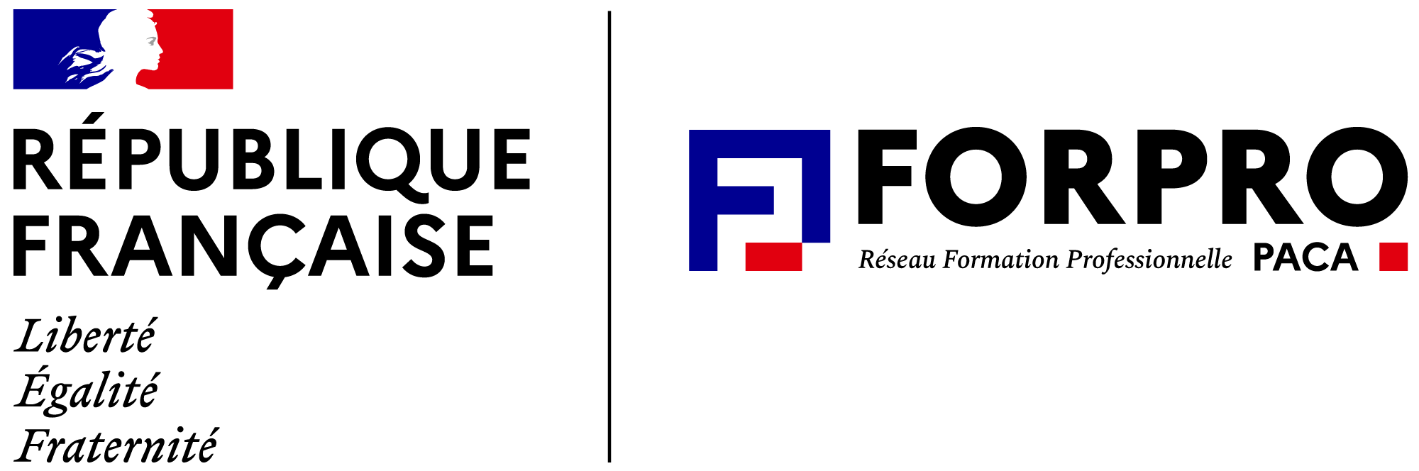 FORPRO PACA — réseau de la formation professionnelle en Région Sud