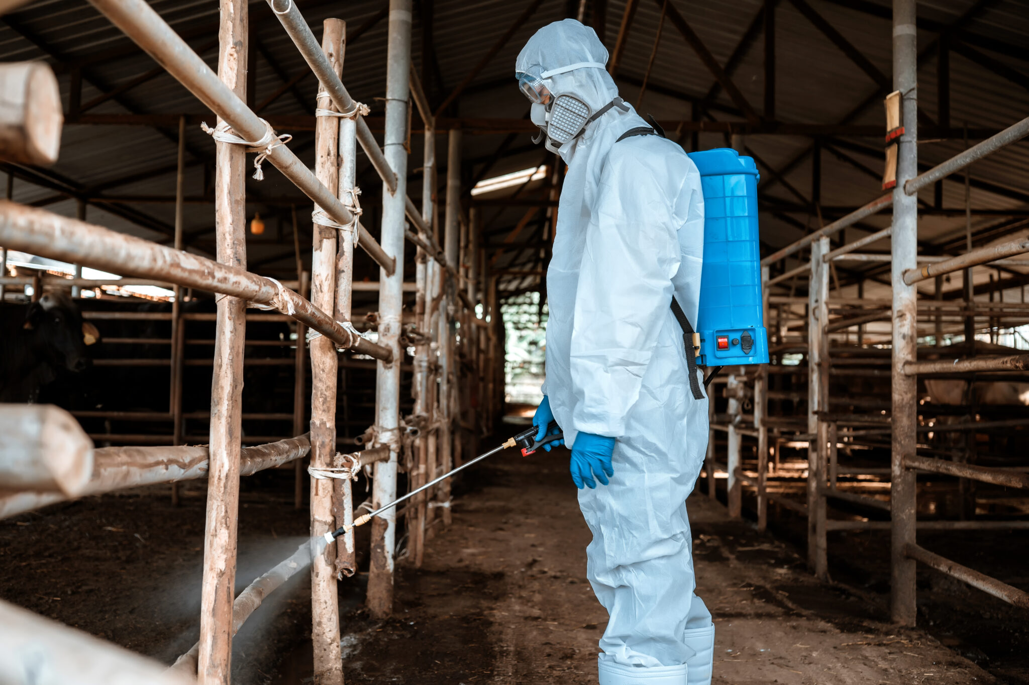 Formation professionnelle et mise en situation dans la filière Sécurité, prévention, hygiène & propreté