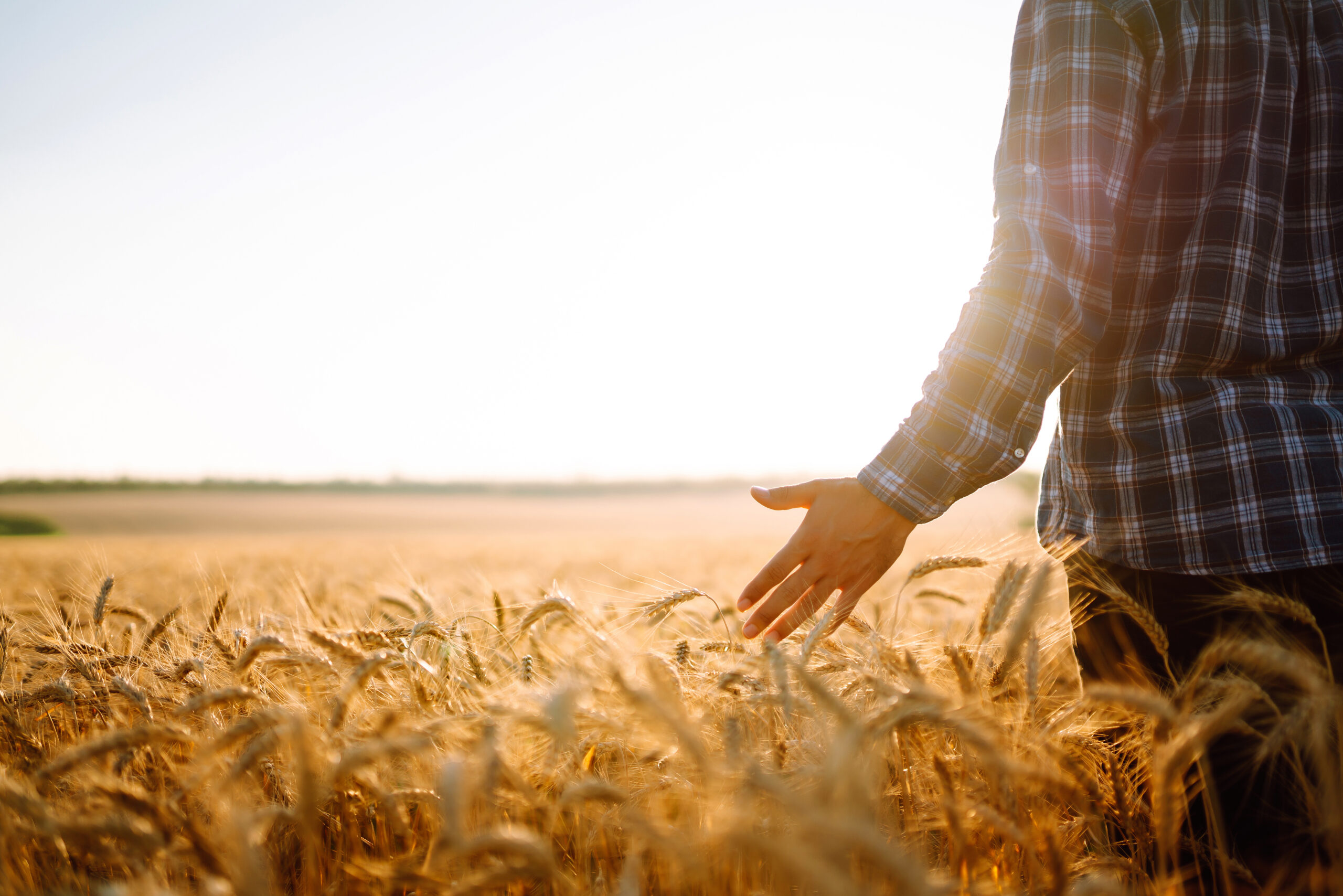 Illustration de VAE – Agriculture et production végétale