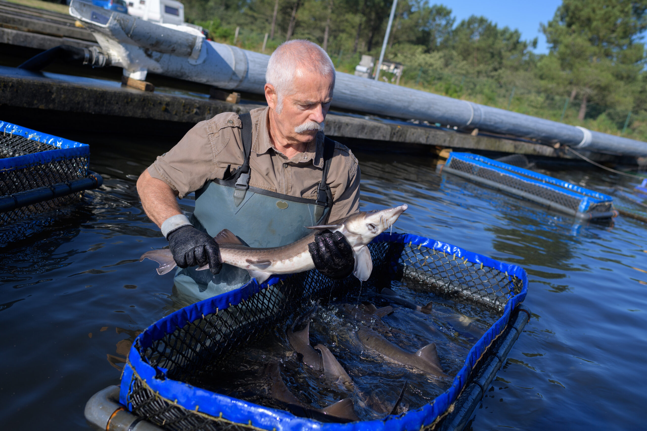 Illustration de VAE – Pêche et aquaculture